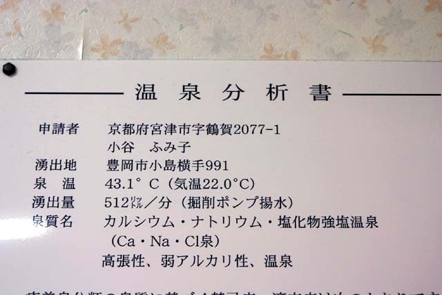 円山川温泉分析表