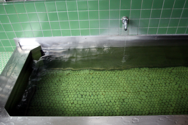 お湯は透明、壁や浴槽の底が緑色なのでお湯が緑色に見える