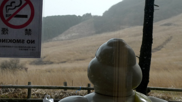 ビバンダムは仙石原のススキを眺めている