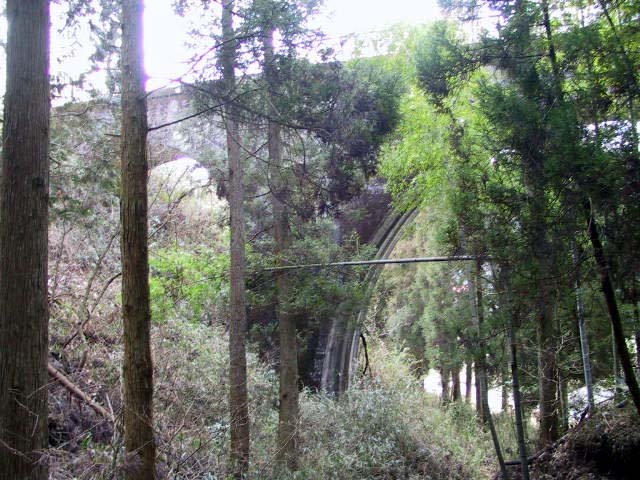 竹筋橋は自然へ戻りつつある