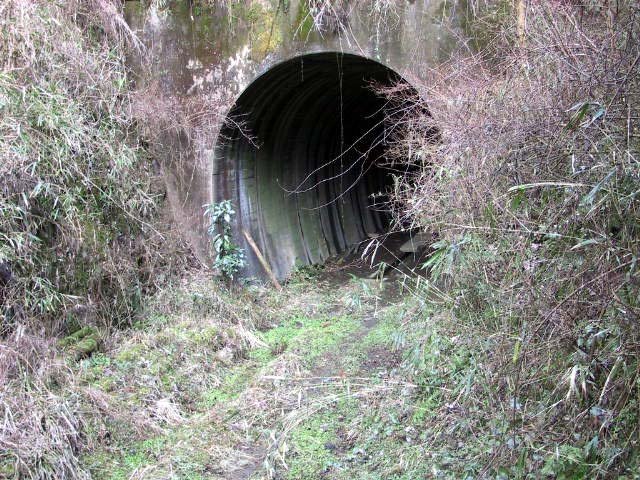 トンネル菊池側入り口