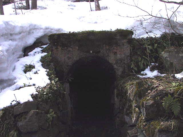 源泉が湧出しているトンネル１