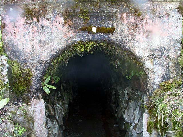 源泉が湧出しているトンネル２