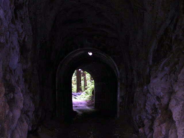 狭いトンネルですが蛍光灯が設置されています
