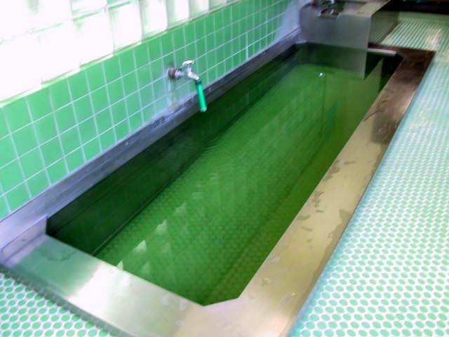 緑色のお湯と錯覚してしまう