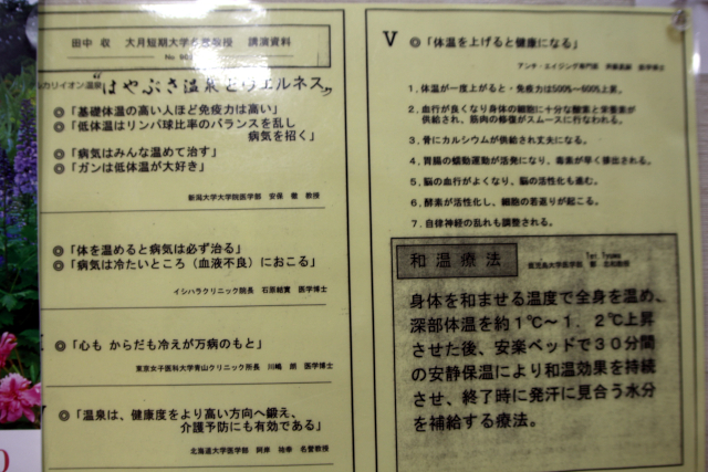 田中教授の講演資料