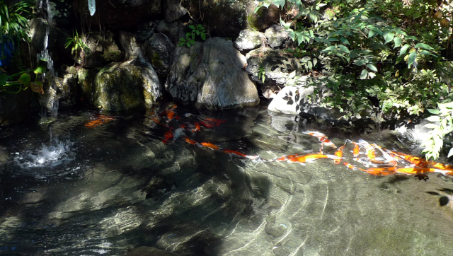 中庭の池にも源泉が使われているらしい