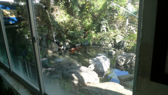中庭の池