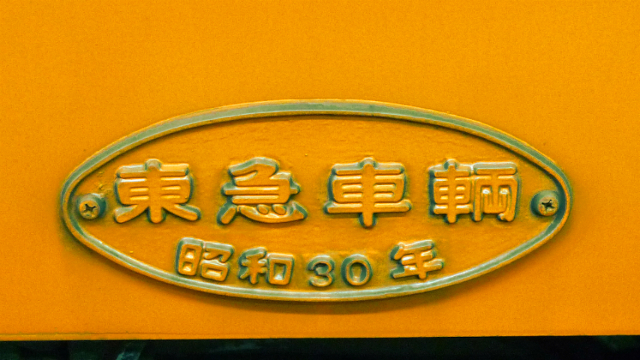 ���n�Q�`�͓��}���q�̐���