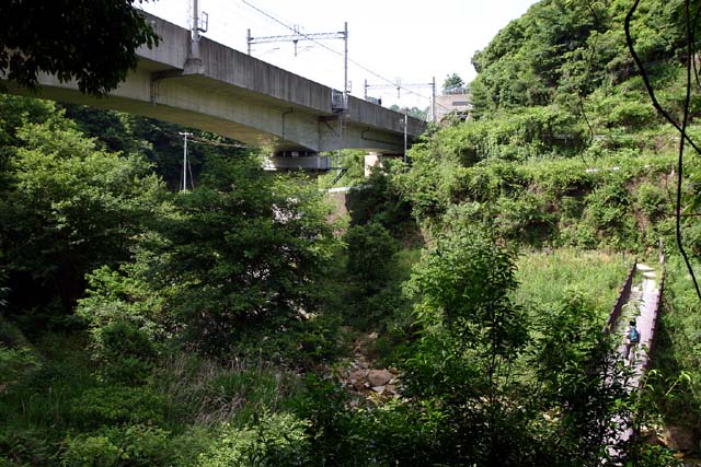 菊水山へ向かう吊橋